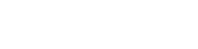IronVest